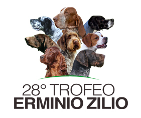 28-zilio